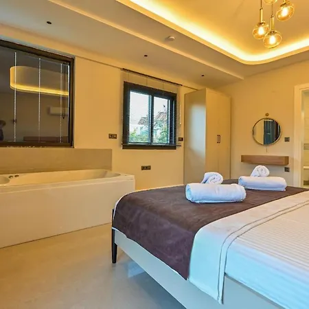 Luxury In The Center Of - Ezel Hanim Villa