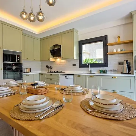 Vila Luxury In The Center Of - Ezel Hanim
